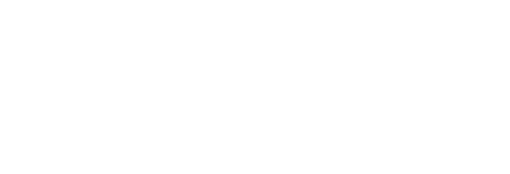 BridgeYear_Reversed